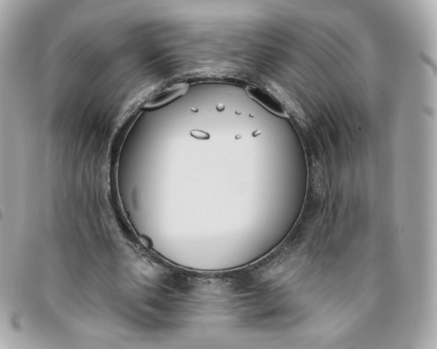 X0000096210486200802011324