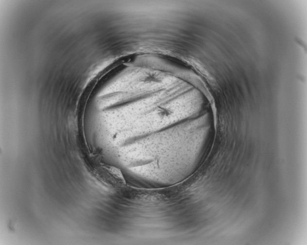 X0000096210488200802011324