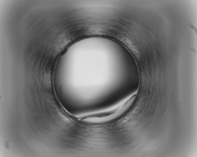 X0000096210489200802011324