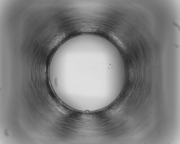 X0000096210490200802011324