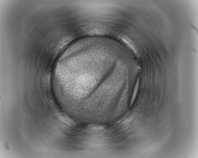 X0000096210491200802011324