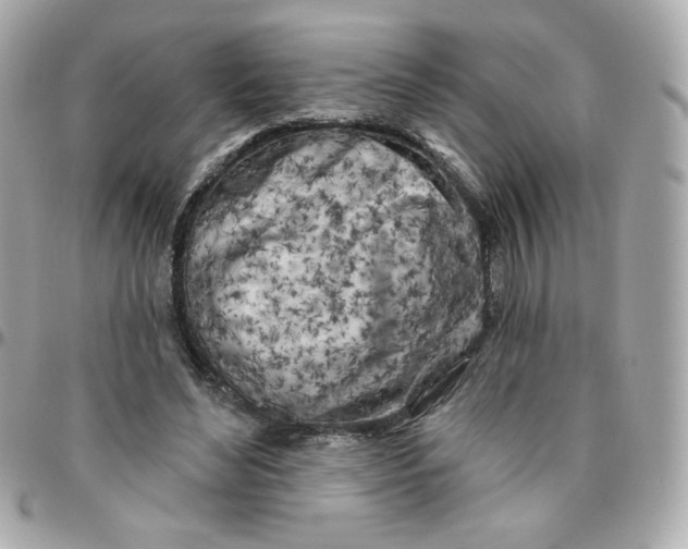 X0000096210492200802011324