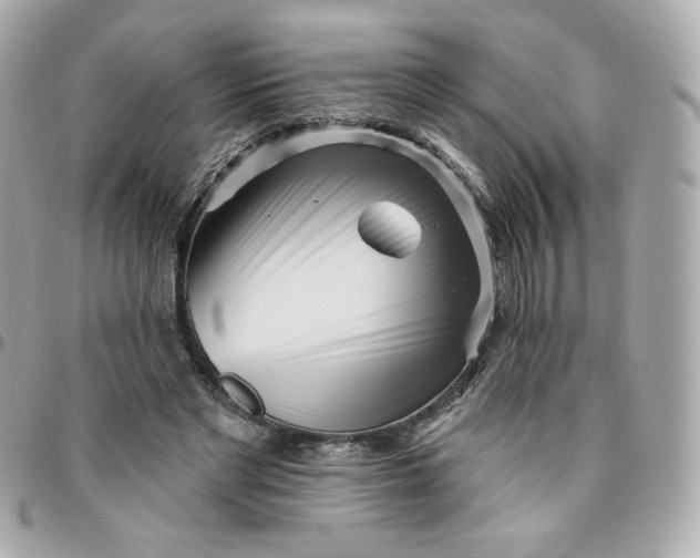 X0000096210493200802011324