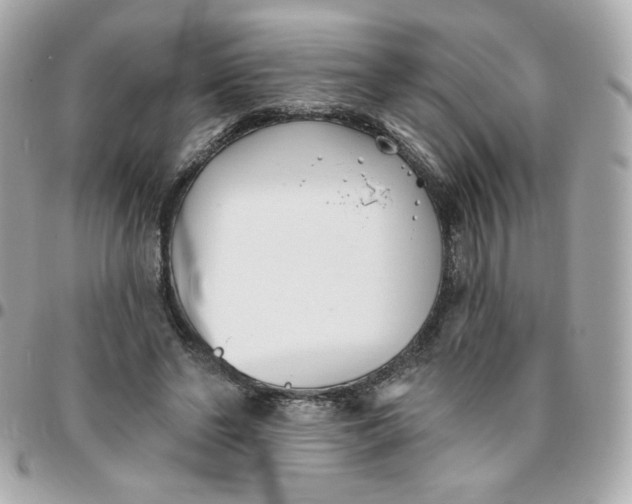 X0000096210494200802011324