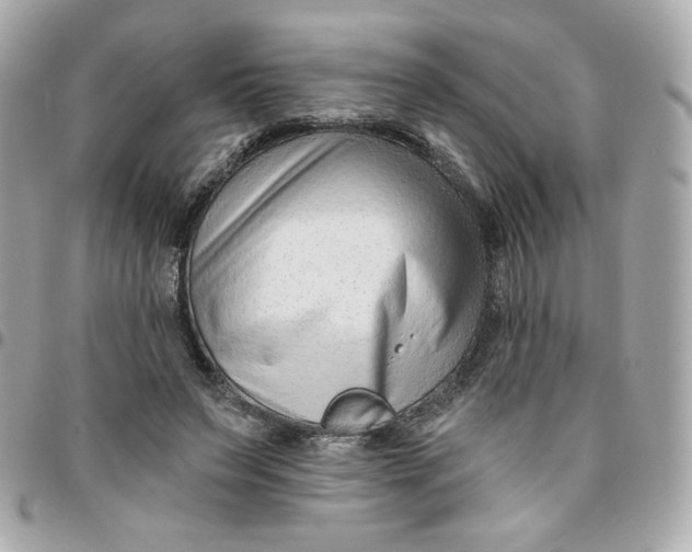 X0000096210495200802011324