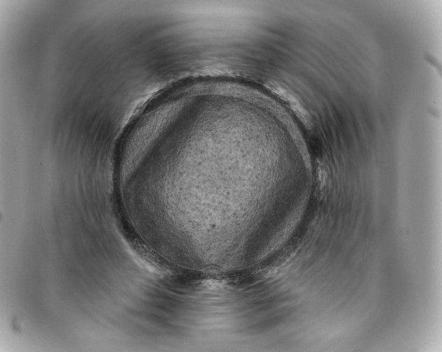 X0000096210496200802011324