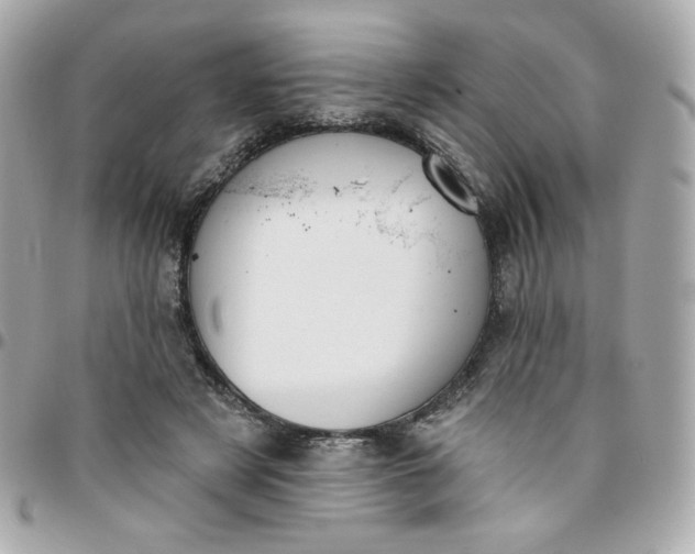 X0000096210497200802011324