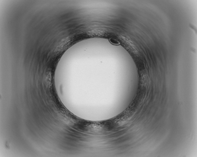 X0000096210498200802011324