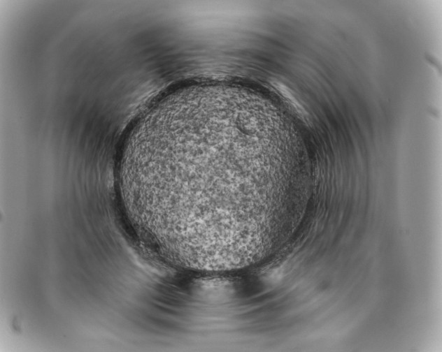 X0000096210500200802011324