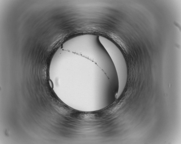 X0000096210501200802011324