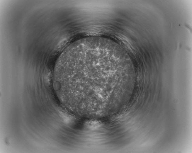 X0000096210503200802011324