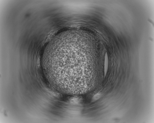 X0000096210504200802011324