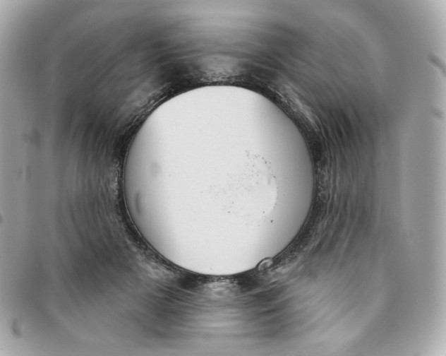 X0000096210505200802011324