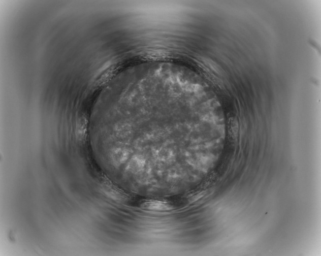 X0000096210507200802011324