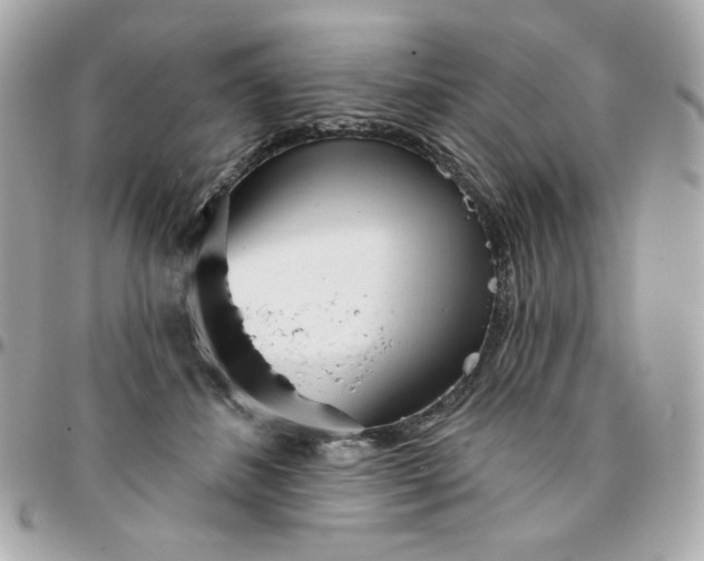 X0000096210508200802011324