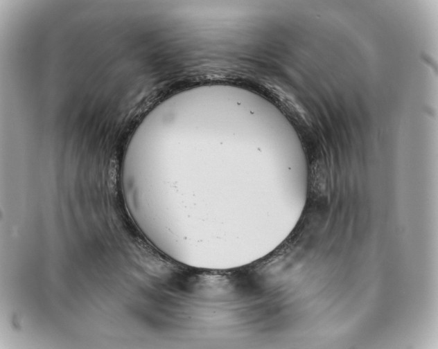 X0000096210509200802011324