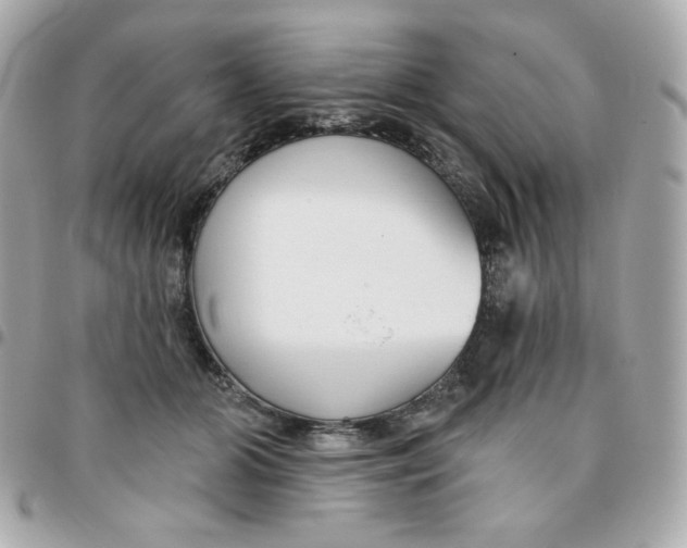 X0000096210510200802011324