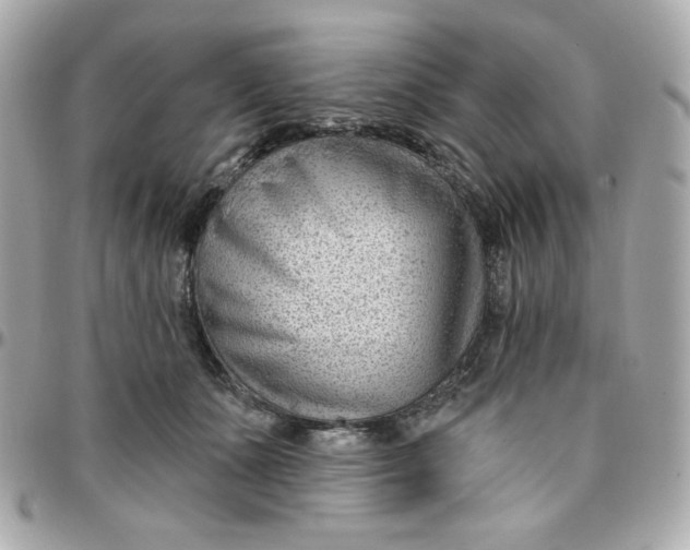 X0000096210511200802011324