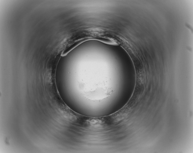 X0000096210512200802011324