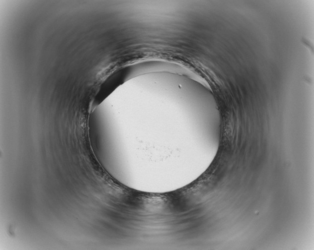 X0000096210513200802011324