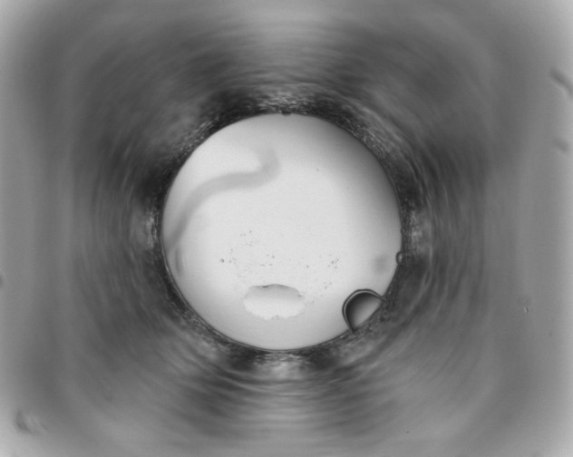 X0000096210514200802011324