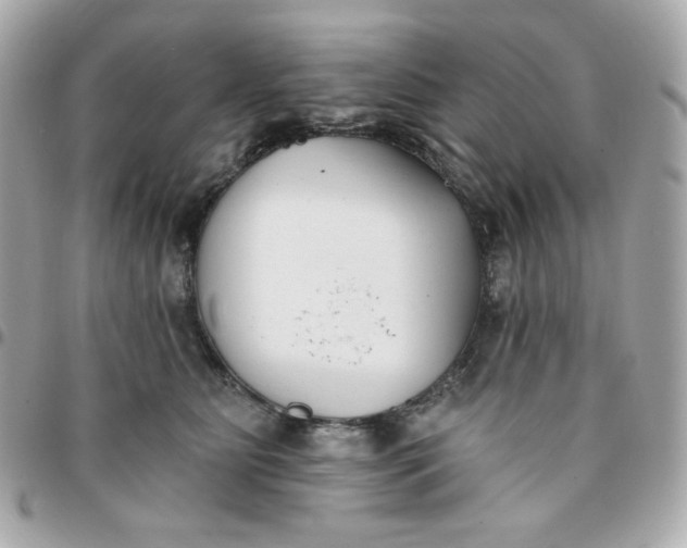 X0000096210515200802011324