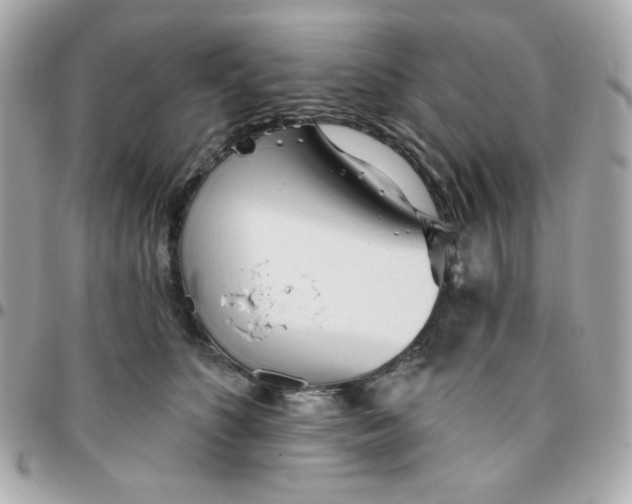 X0000096210516200802011324