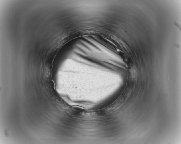 X0000096210517200802011324