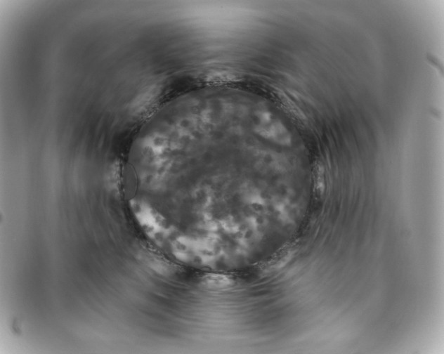 X0000096210519200802011324