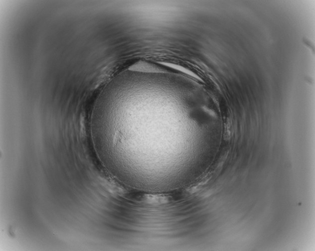 X0000096210520200802011324