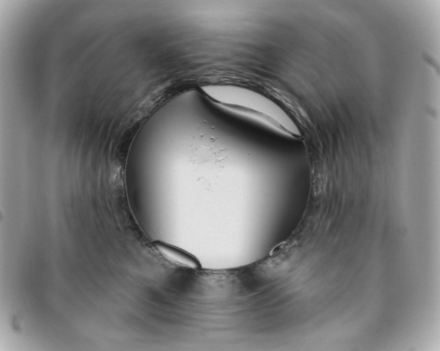 X0000096210521200802011324