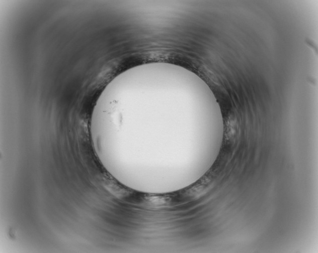 X0000096210522200802011324