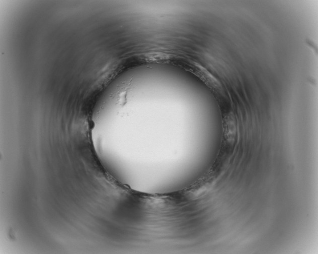 X0000096210523200802011324