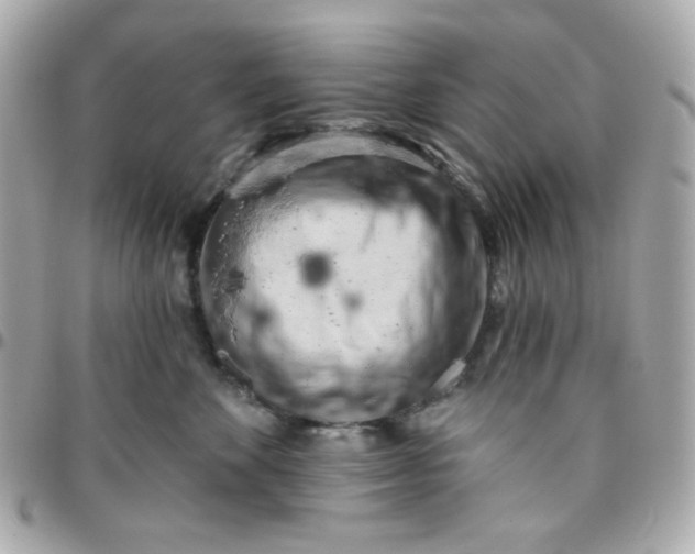 X0000096210524200802011324