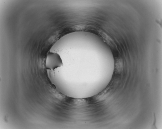 X0000096210525200802011324