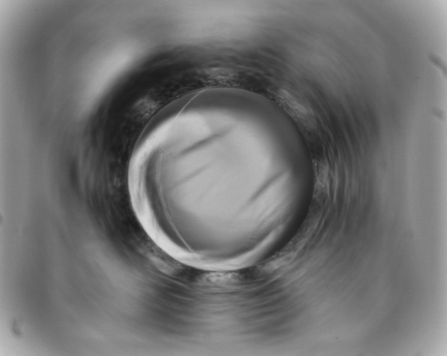 X0000096210526200802011324