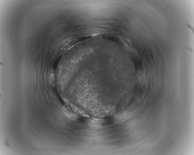 X0000096210527200802011324