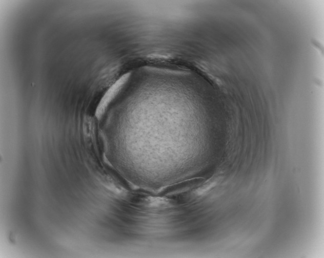 X0000096210528200802011324