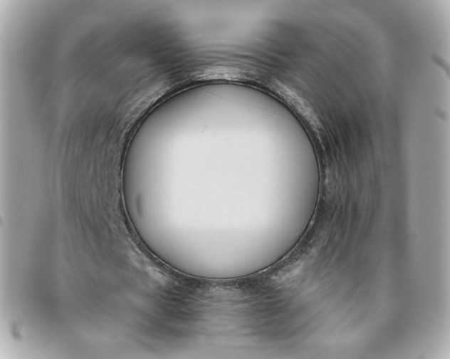 X0000096210529200802011323