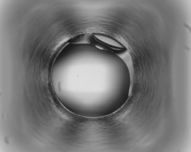 X0000096210530200802011323