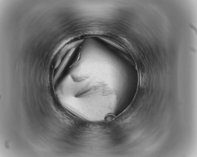 X0000096210531200802011323