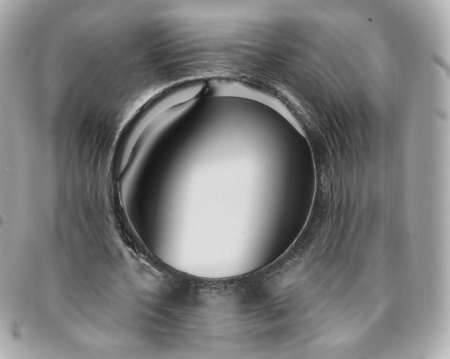 X0000096210532200802011323