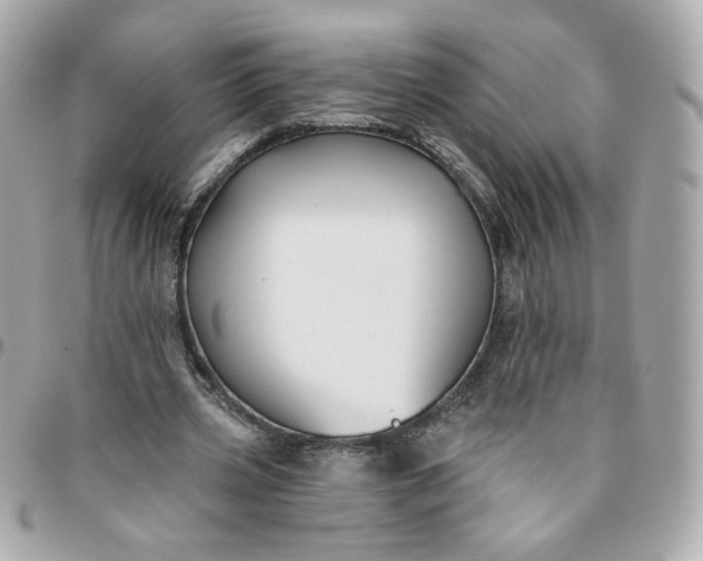 X0000096210533200802011323