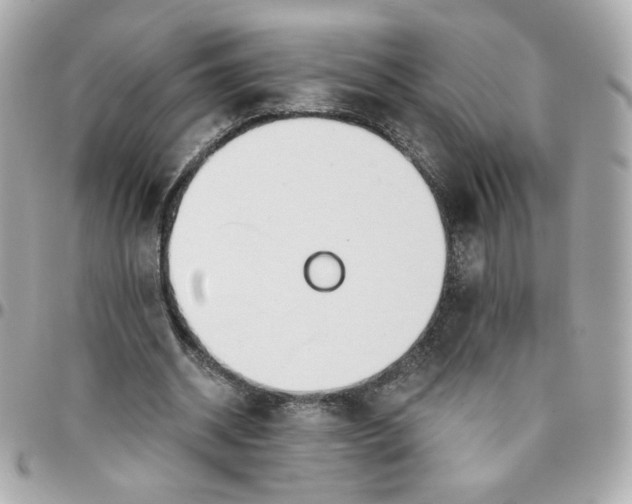 X0000096210534200802011323