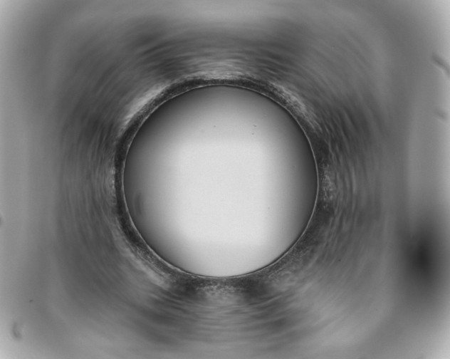 X0000096210535200802011323