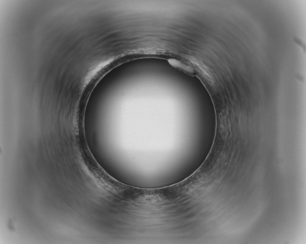 X0000096210536200802011323