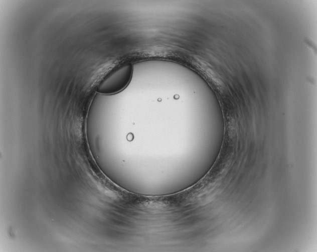 X0000096210537200802011323