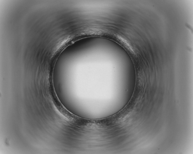 X0000096210538200802011323