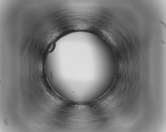 X0000096210539200802011323