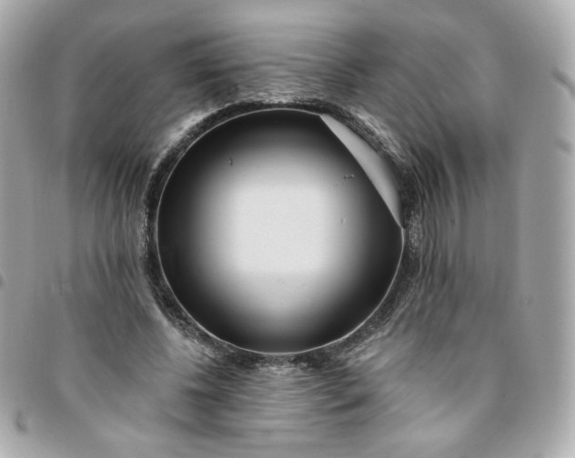 X0000096210540200802011323